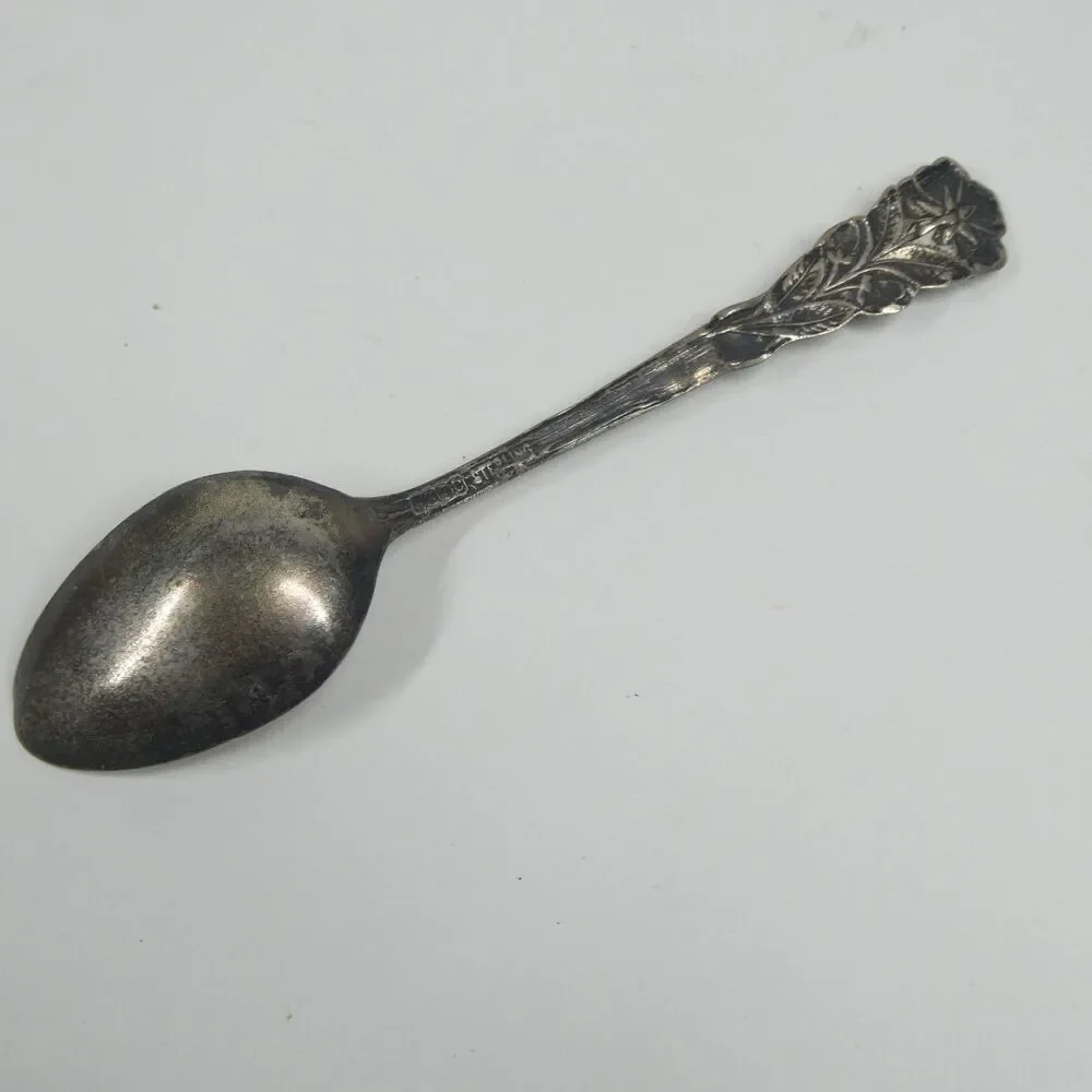 Cawston Ostrich Farm California Sterling Silver Souvenir Spoon Vintage 4